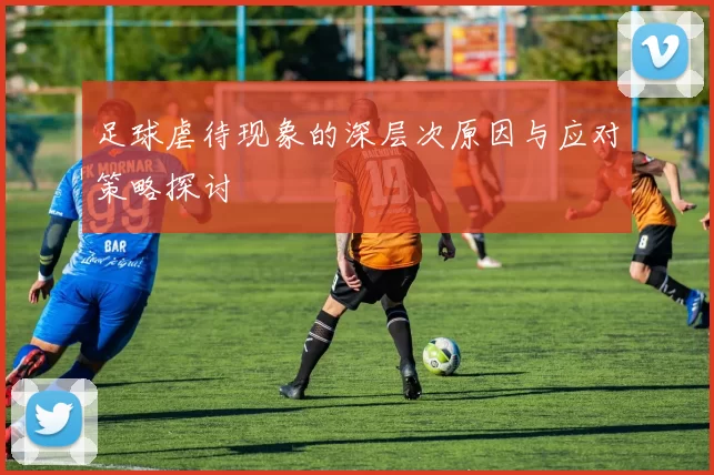 足球虐待现象的深层次原因与应对策略探讨