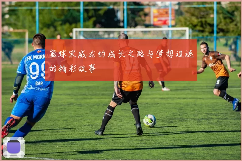 篮球宋威龙的成长之路与梦想追逐的精彩故事