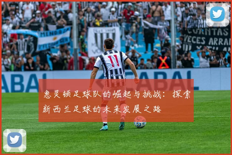 惠灵顿足球队的崛起与挑战：探索新西兰足球的未来发展之路
