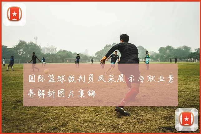 国际篮球裁判员风采展示与职业素养解析图片集锦