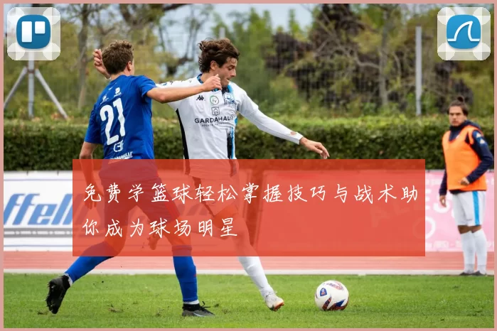 免费学篮球轻松掌握技巧与战术助你成为球场明星